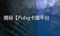 揭秘【Pubg卡盟平台官网】：解锁无限可能，避开陷阱！